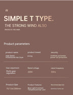 High Speed Electric Hair Dryer Household Anion